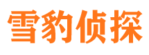 南澳市侦探调查公司